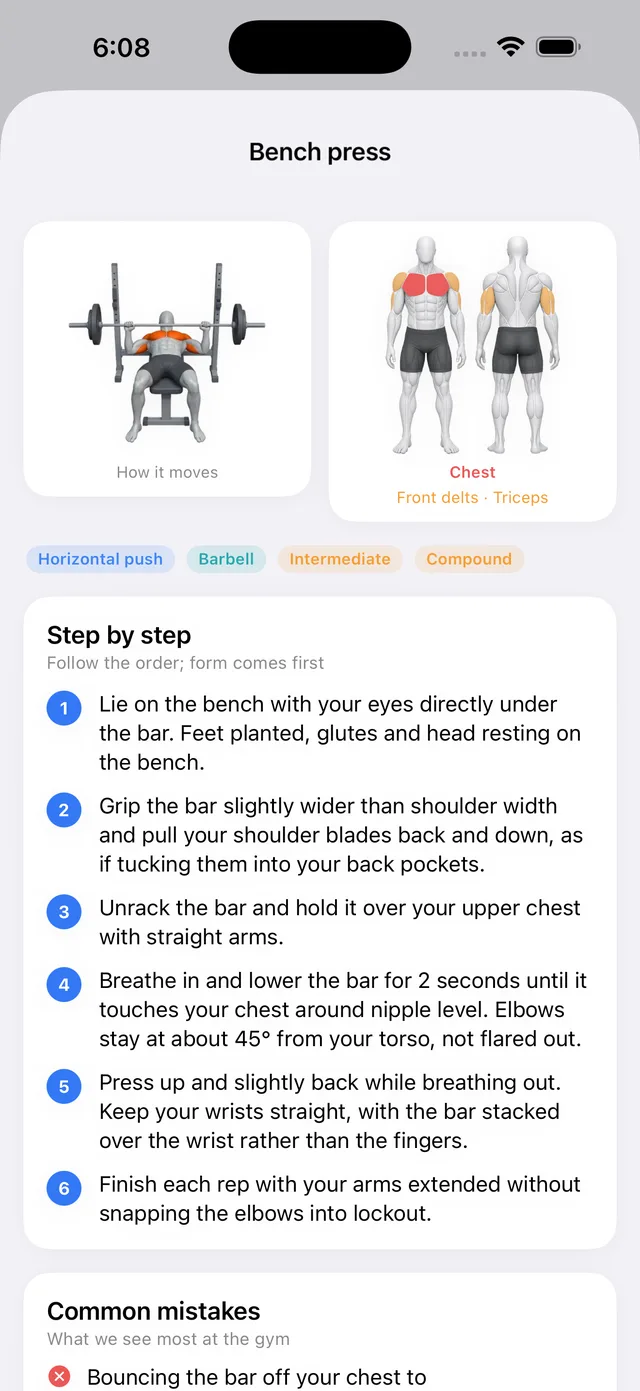 Bench press with muscle map