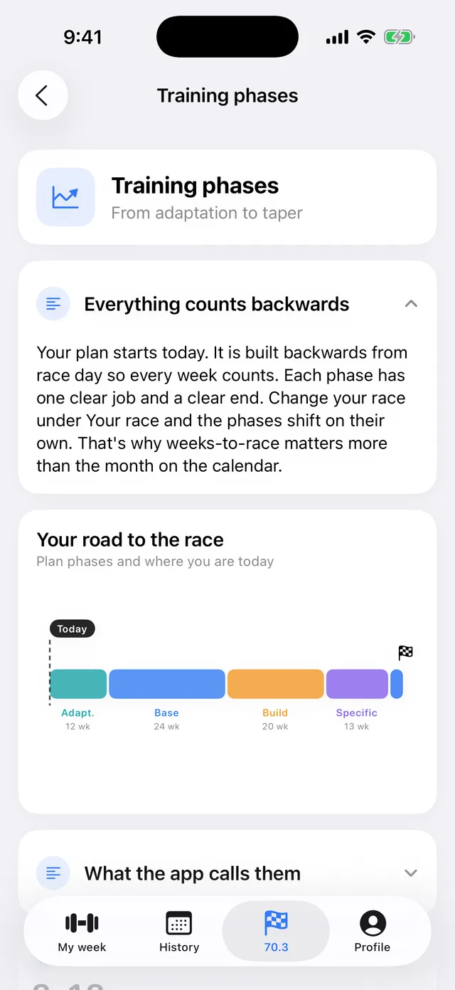 Training phases timeline