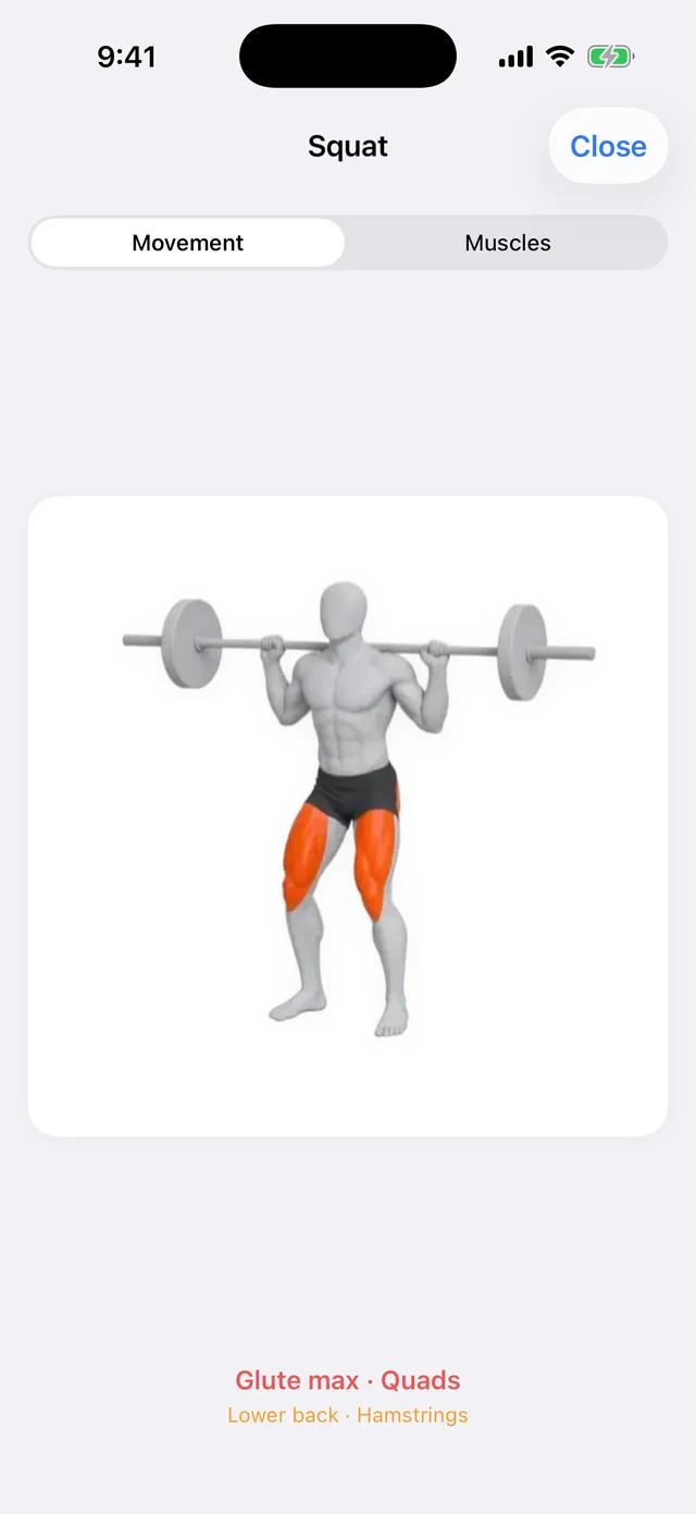 Squat 3D animation, expanded